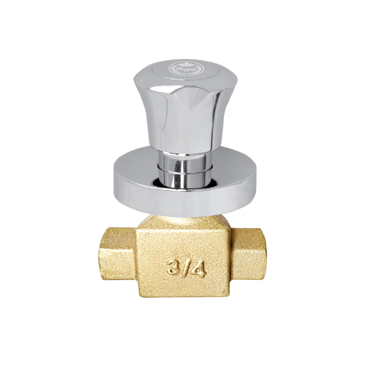 Conceal (3/4)" 101 B3